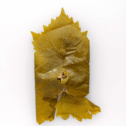 Weinblätter einschlagen