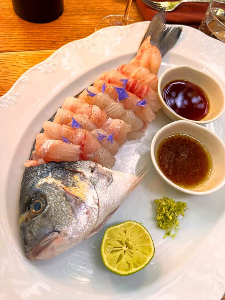 Dorade